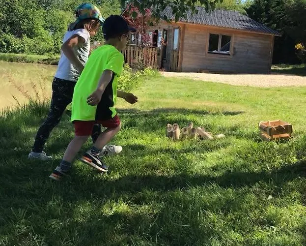 Chalet Un étang Idéal Pour La Famille