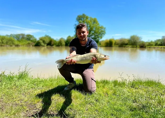 Un étang Idéal Pour La Famille Chalet